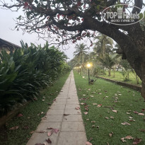 фото из отзыва ID 2683871