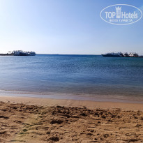 фото из отзыва ID 2683892