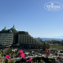 фото из отзыва ID 2683944