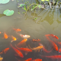 фото из отзыва ID 2683963