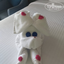 фото из отзыва ID 2683966