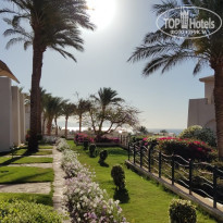 фото из отзыва ID 2683966