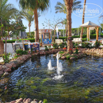 фото из отзыва ID 2683756