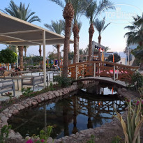 фото из отзыва ID 2683756