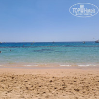 фото из отзыва ID 2683756