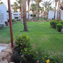 фото из отзыва ID 2683756