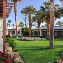 фото из отзыва ID 2683756