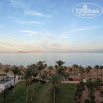 фото из отзыва ID 2683355