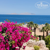 фото из отзыва ID 2683355