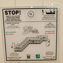 фото из отзыва ID 2683355