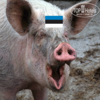 фото из отзыва ID 2681837