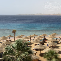 фото из отзыва ID 2684032