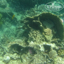 фото из отзыва ID 2684036