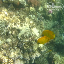 фото из отзыва ID 2684036