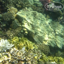 фото из отзыва ID 2684036