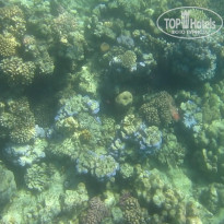 фото из отзыва ID 2684036