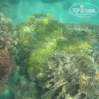 фото из отзыва ID 2684036