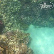 фото из отзыва ID 2684036