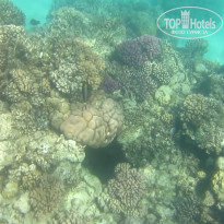 фото из отзыва ID 2684036