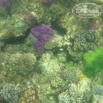 фото из отзыва ID 2684036