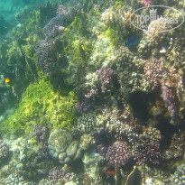 фото из отзыва ID 2684036