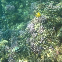 фото из отзыва ID 2684036