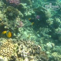 фото из отзыва ID 2684036