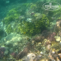 фото из отзыва ID 2684036