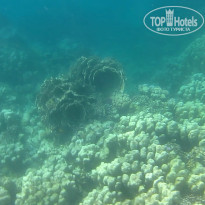 фото из отзыва ID 2684036