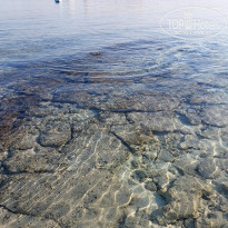 фото из отзыва ID 2684036