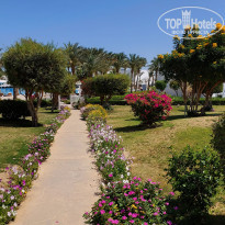 фото из отзыва ID 2684036