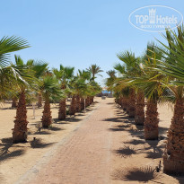 фото из отзыва ID 2684036