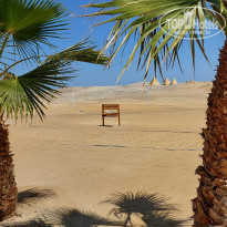 фото из отзыва ID 2684036