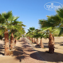 фото из отзыва ID 2684036