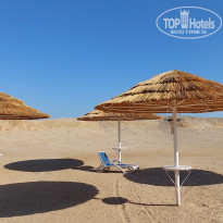 фото из отзыва ID 2684036