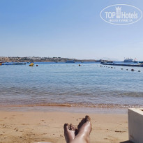 фото из отзыва ID 2684062