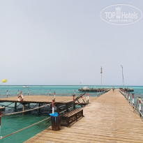 фото из отзыва ID 2684063