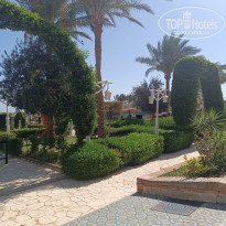 фото из отзыва ID 2684063