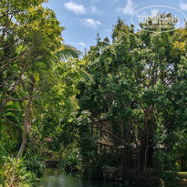 фото из отзыва ID 2684071