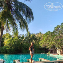 фото из отзыва ID 2684071