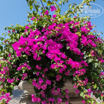 фото из отзыва ID 2684071