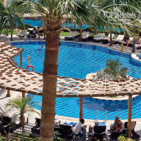 фото из отзыва ID 2684081