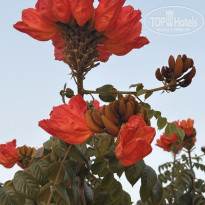 фото из отзыва ID 2684121