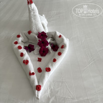 фото из отзыва ID 2684121