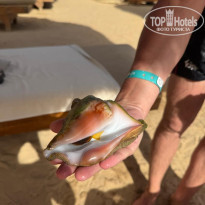 фото из отзыва ID 2684133