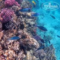 фото из отзыва ID 2684145