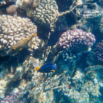 фото из отзыва ID 2684145