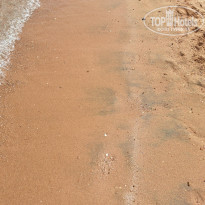 фото из отзыва ID 2684165