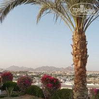 фото из отзыва ID 2684165