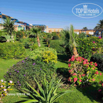 фото из отзыва ID 2684174